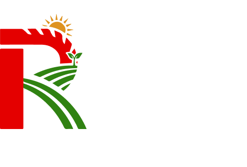Riki